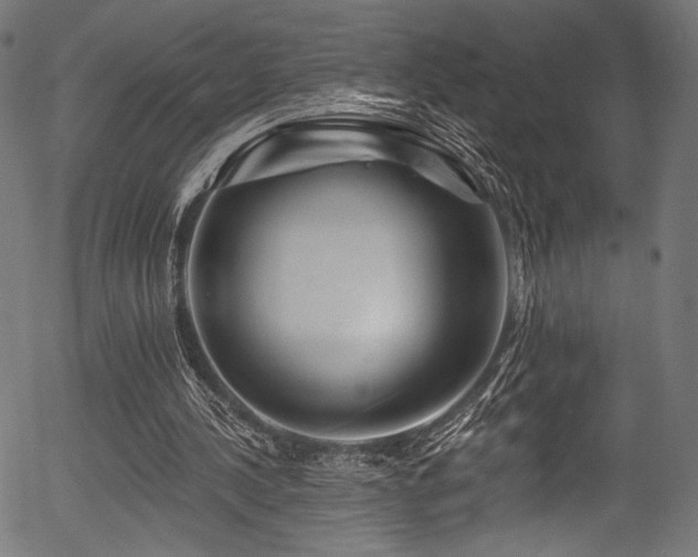 X0000056370244200508291408