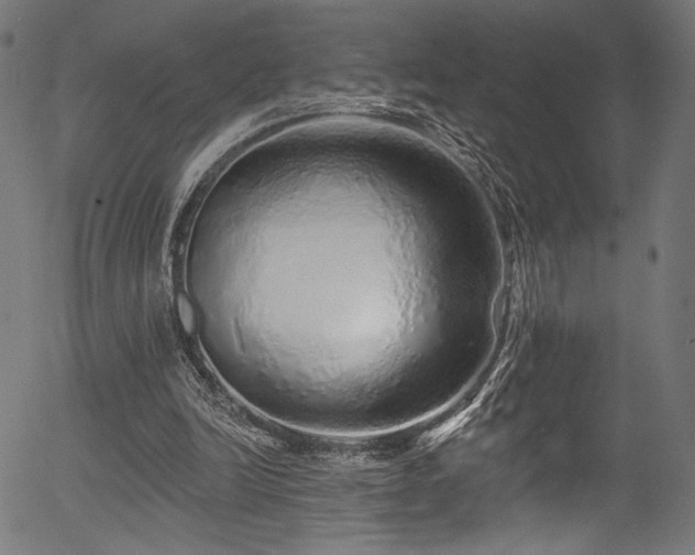 X0000056370246200508291408