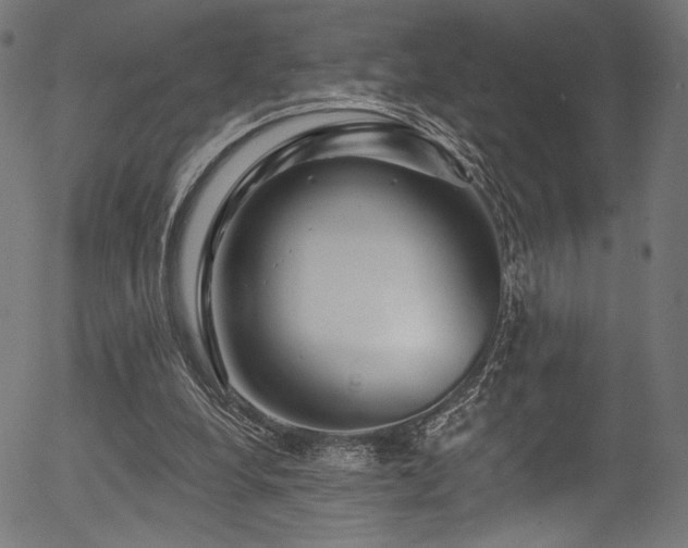 X0000056370248200508291408