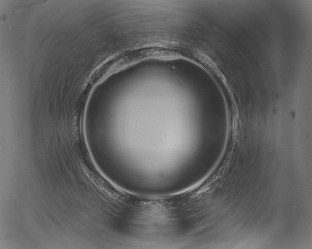 X0000056370249200508291408