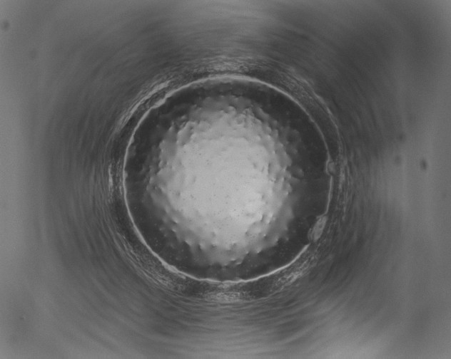 X0000056370250200508291408