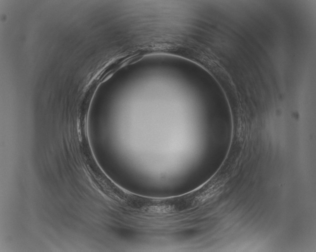 X0000056370251200508291408