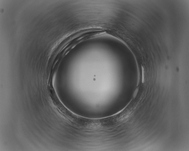 X0000056370252200508291408