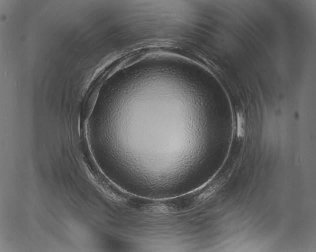 X0000056370253200508291408