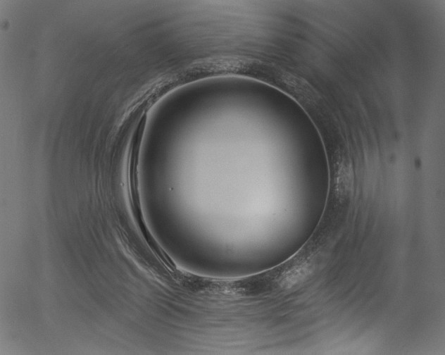 X0000056370254200508291408