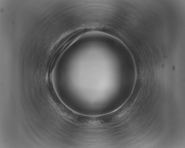 X0000056370256200508291408