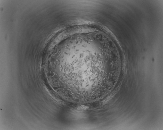 X0000056370257200508291408
