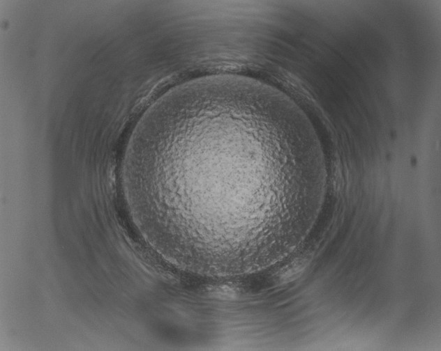 X0000056370259200508291408