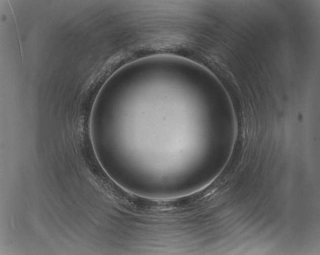 X0000056370260200508291408