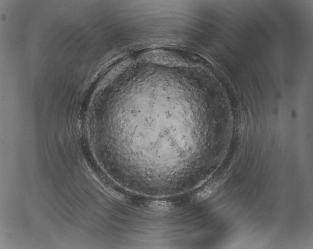 X0000056370261200508291408