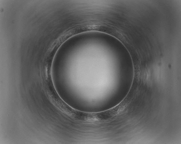 X0000056370262200508291408