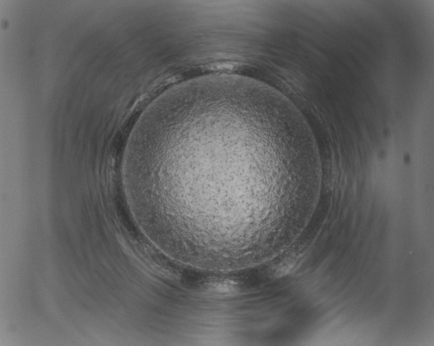 X0000056370263200508291408