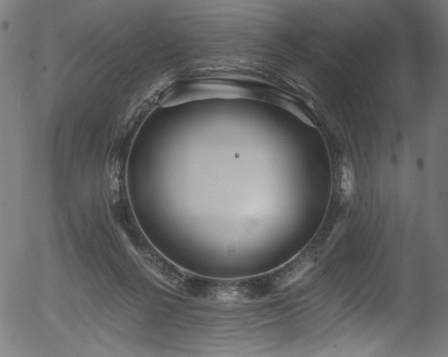 X0000056370264200508291408