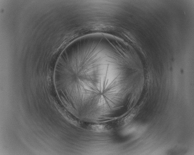 X0000056370265200508291408