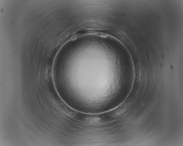 X0000056370266200508291408