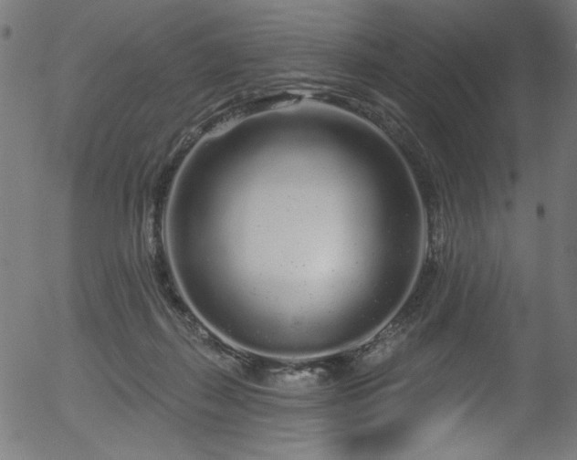 X0000056370267200508291409