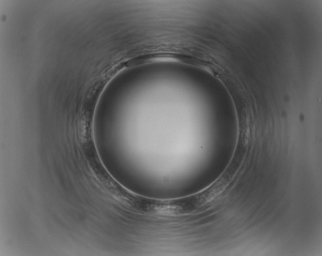 X0000056370268200508291409