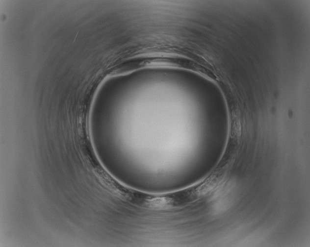 X0000056370269200508291409