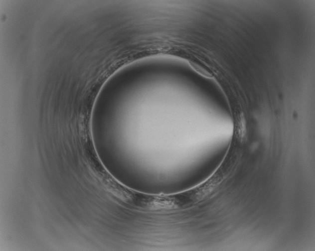 X0000056370270200508291409