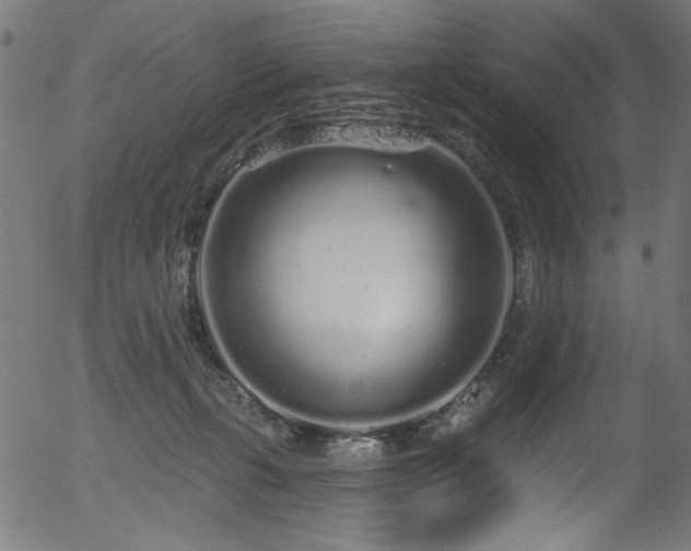 X0000056370271200508291409