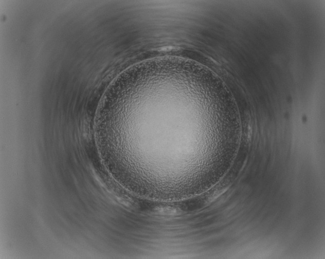 X0000056370272200508291409