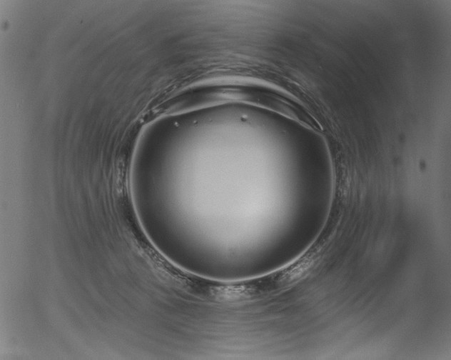 X0000056370273200508291409