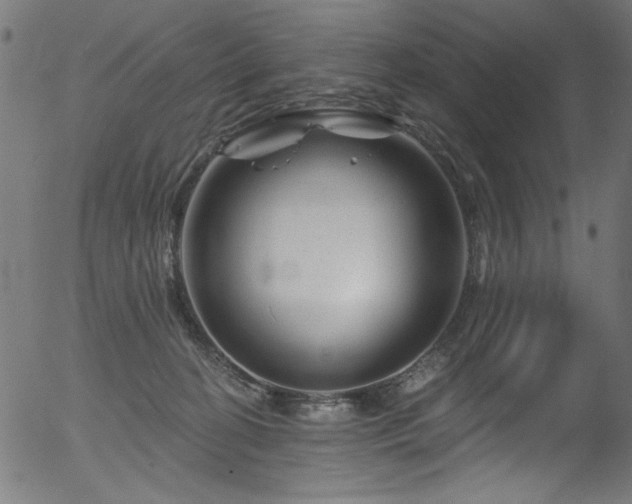 X0000056370274200508291409