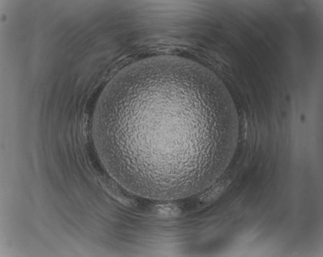 X0000056370275200508291409