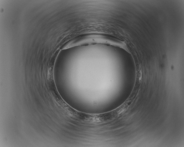 X0000056370276200508291409