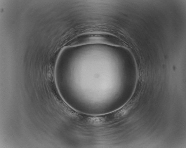 X0000056370277200508291409