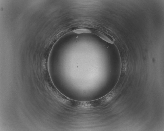 X0000056370278200508291409