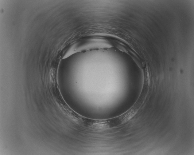 X0000056370280200508291409