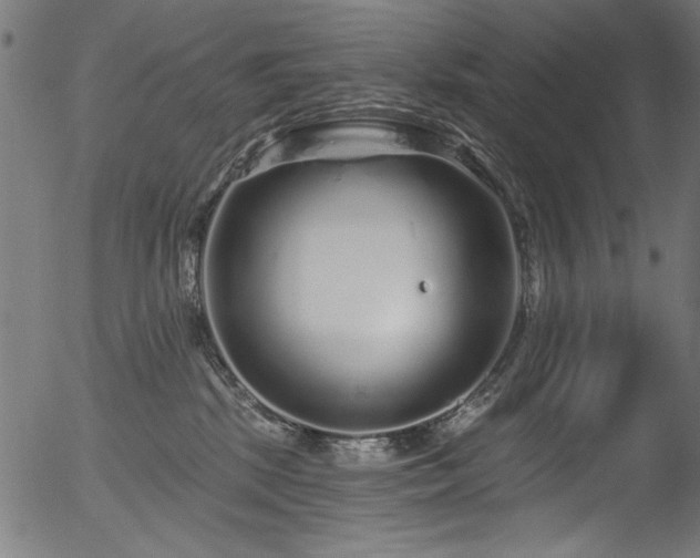 X0000056370281200508291409