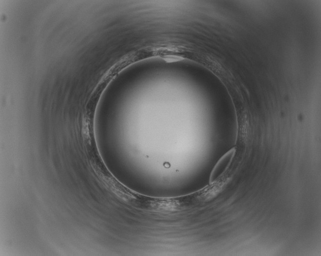 X0000056370282200508291409