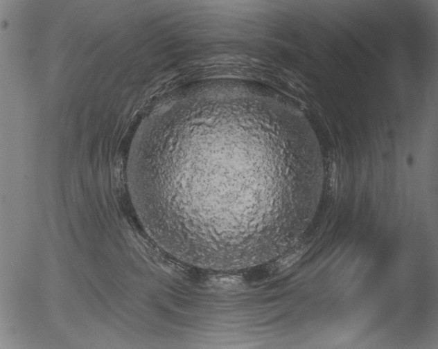 X0000056370283200508291409