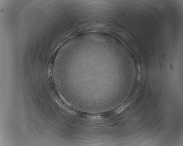 X0000056370284200508291409