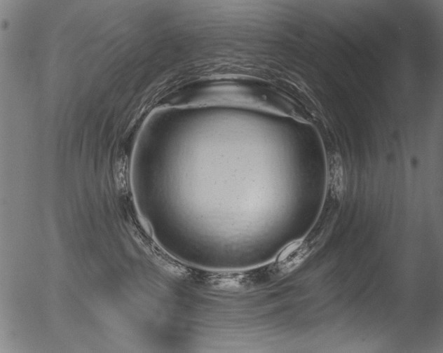 X0000056370285200508291409