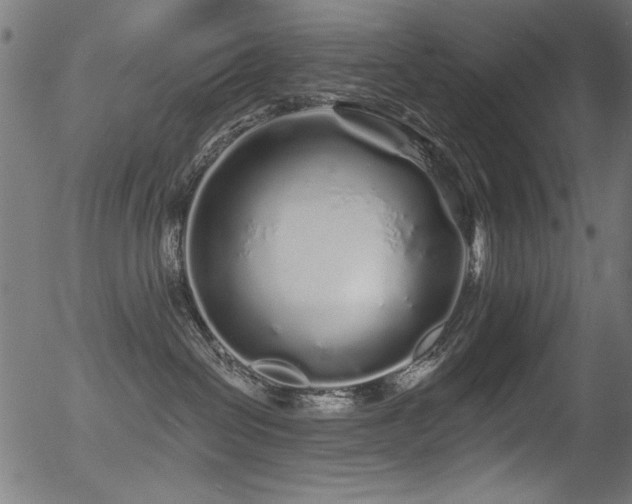 X0000056370286200508291409