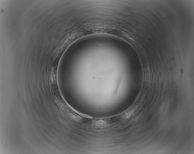 X0000056370287200508291409