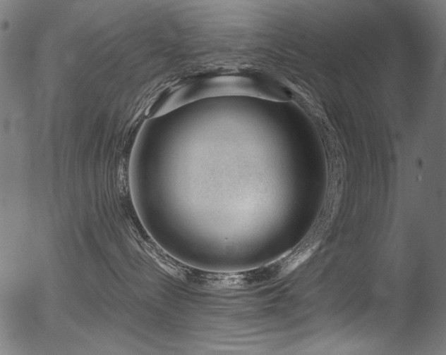 X0000056370288200508291409