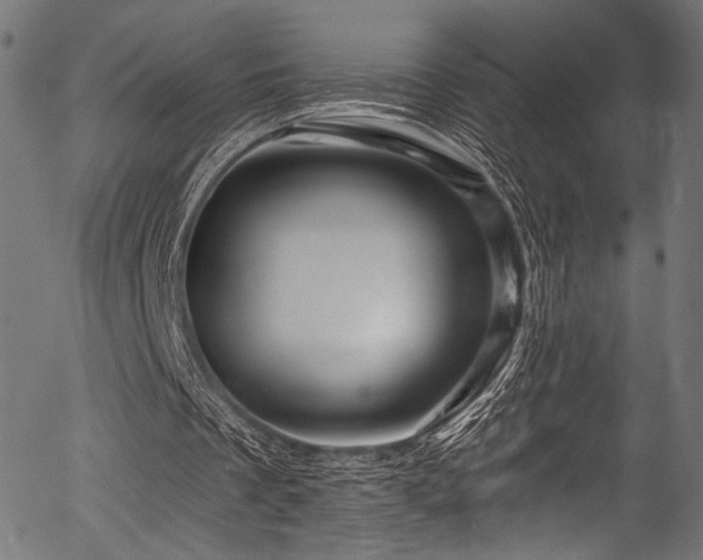 X0000056370289200508291408