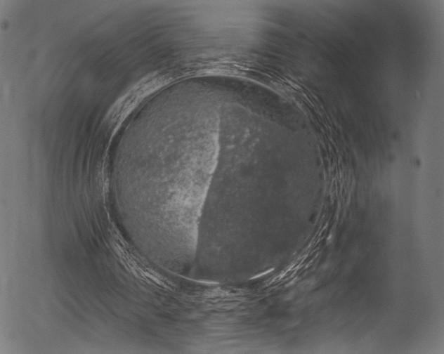 X0000056370290200508291408