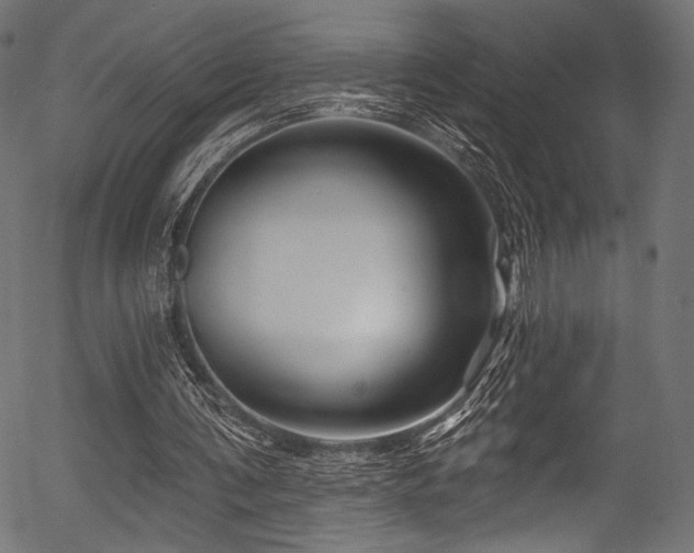 X0000056370291200508291408