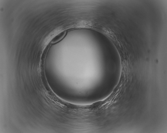 X0000056370292200508291408