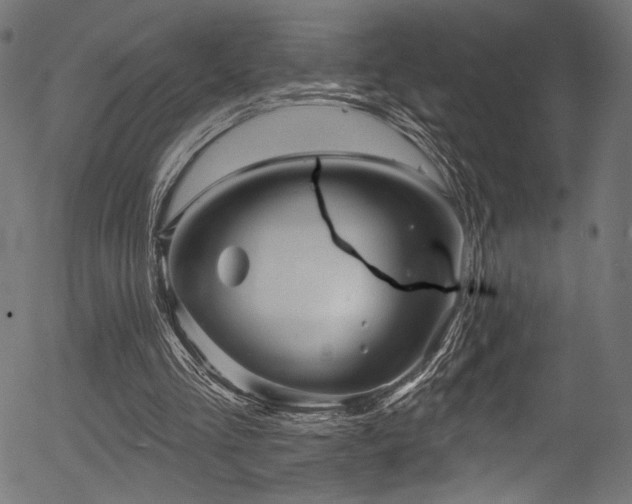 X0000056370293200508291408