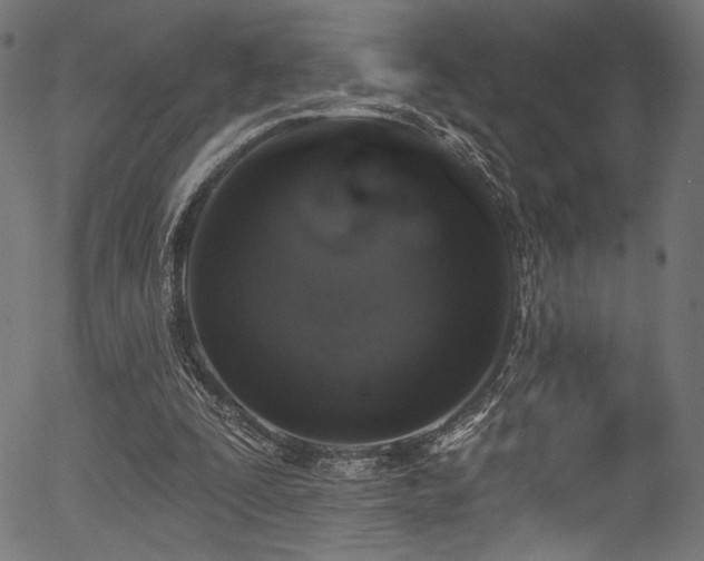 X0000056370295200508291408