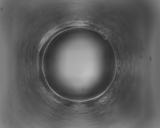 X0000056370296200508291408