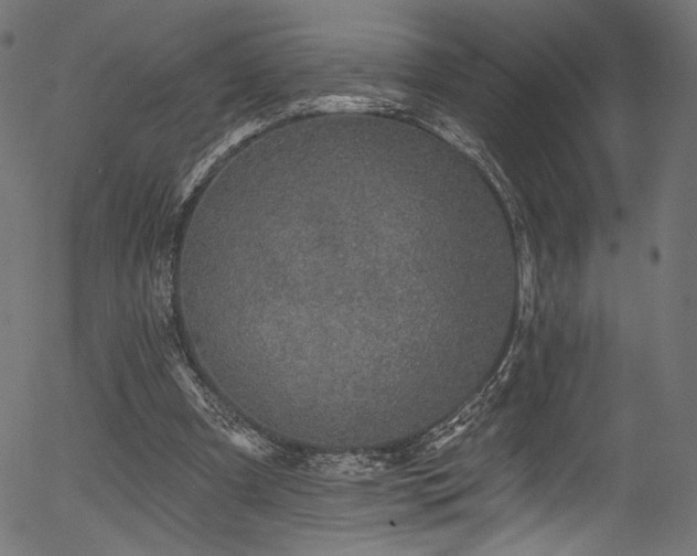 X0000056370297200508291408