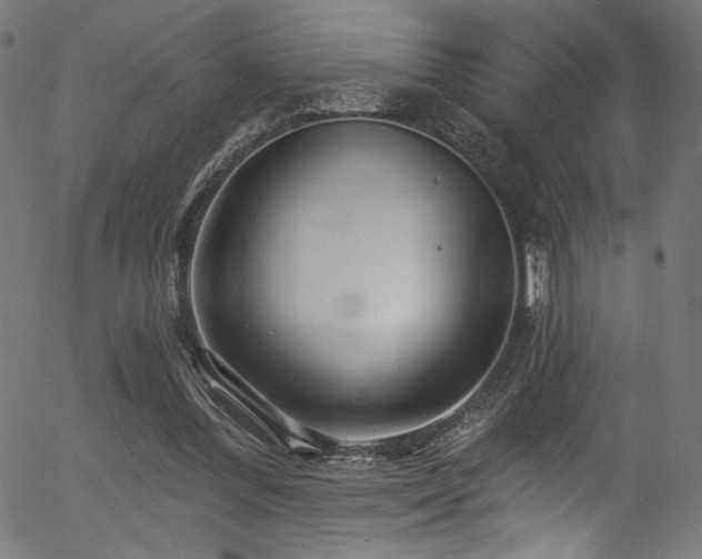 X0000056370300200508291408