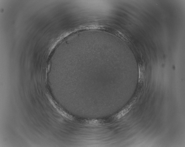 X0000056370301200508291408